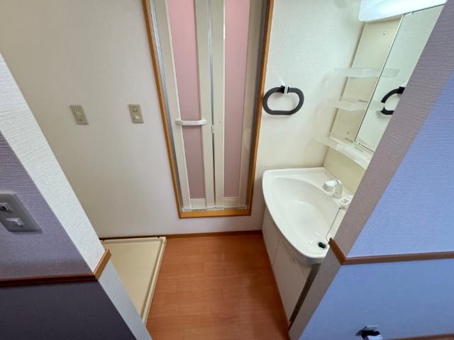 ＩＶＹ　ＣＯＵＲＴ　A棟（A202） 洗面