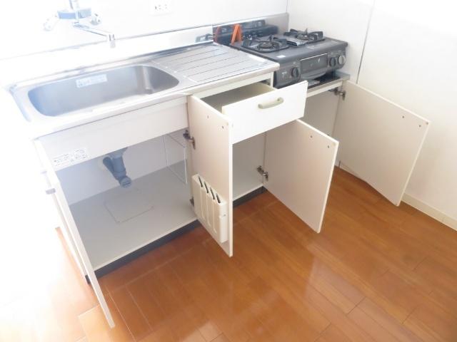 ロイヤルリバー（203） キッチン