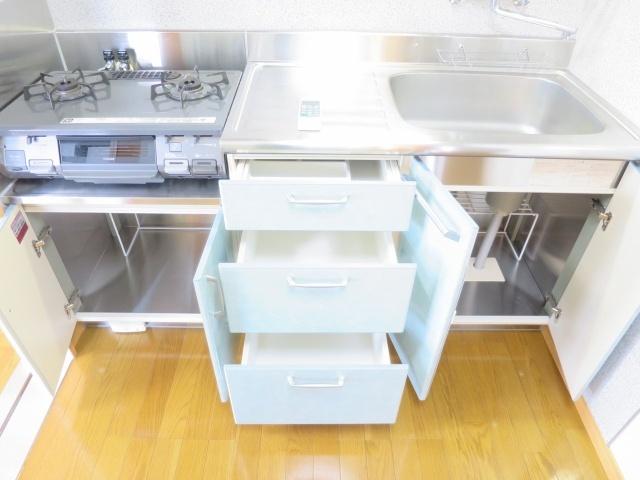 ネオクレメント（503） キッチン