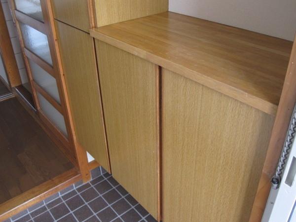 カーサ一ツ橋（106） 玄関