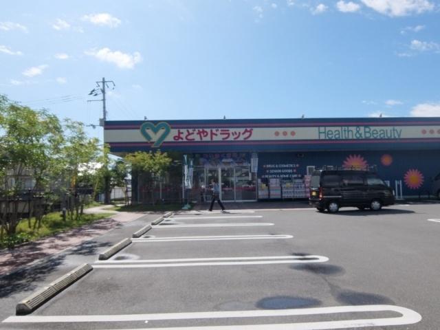 よどやドラッグ高知一宮店：731m