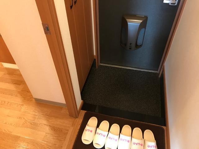 ディアベルジュⅡ 玄関