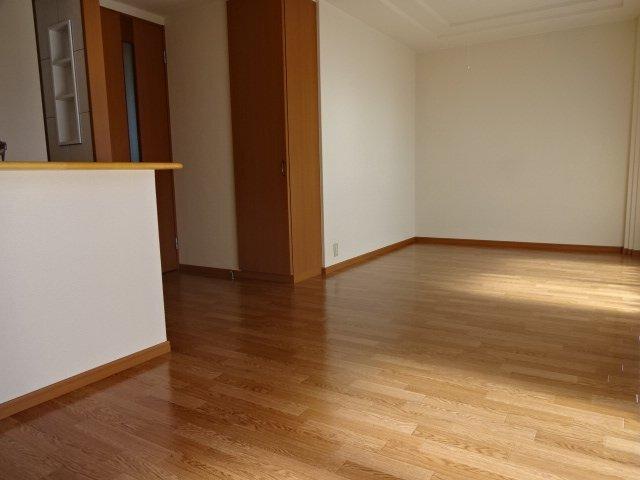 ディアベルジュⅡ リビング