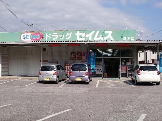 ドラッグセイムス針木店：595m