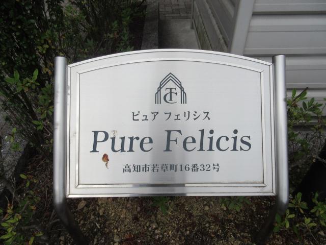 ピュアフェリシス その他