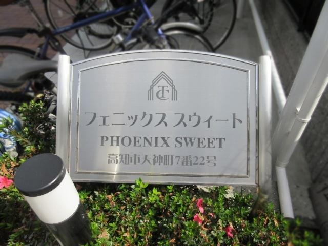 フェニックス　スウィート その他