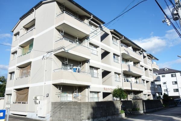 池上ハイツ 物件画像