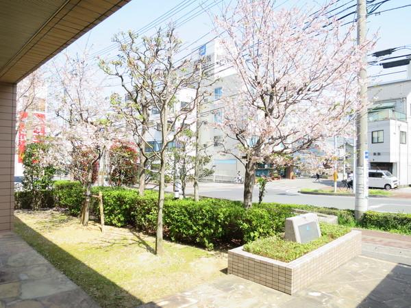 サーパス通町一番館 物件画像