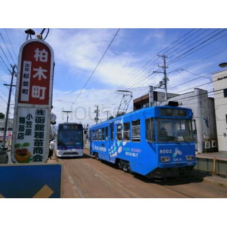 市電柏木電停：150m