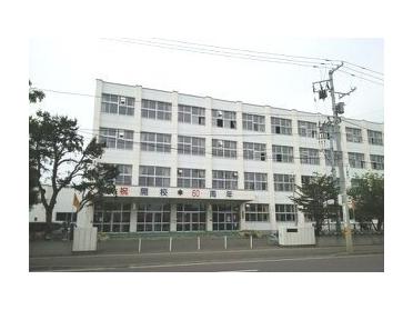 白楊小学校：290m