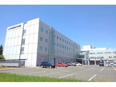 北海道医療大学病院：800m