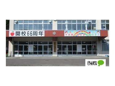 札幌市立美園小学校：517m