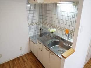 札幌市中央区南十一条西マンション キッチン