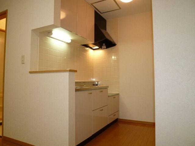 札幌市中央区南六条西アパート キッチン