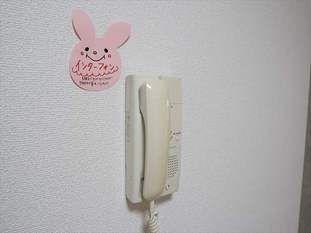 コーラル 部屋画像