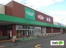 コープさっぽろほんどおり店：341m