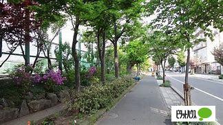本郷通緑地：519m