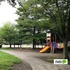緑ケ丘公園：1056m