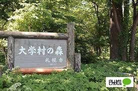 大学村の森：216m