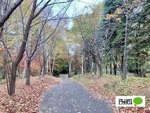 澄川公園：750m