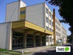 札幌市立琴似中央小学校：981m