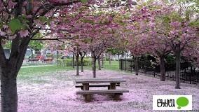西野グリーン公園：954m