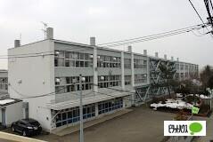 札幌市立山の手小学校：334m