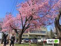 札幌市西区民センター図書室：942m