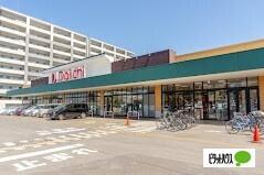 ダイイチ発寒中央駅前店：480m