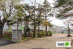 札幌市立幌西小学校：393m
