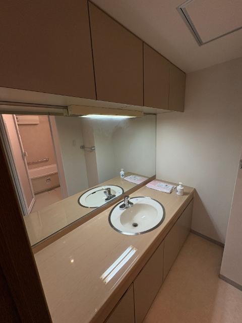 サンライズ東照宮ロイヤル別館（1202） 洗面