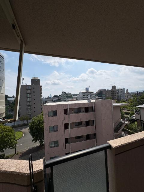 パルメゾン旭ヶ丘（502） 眺望