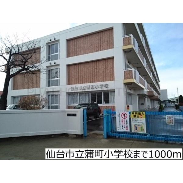 仙台市立蒲町小学校:1000m