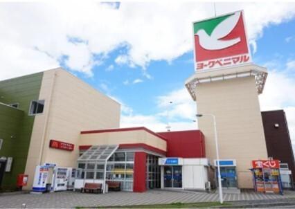 ヨークベニマル大和吉岡店：397m