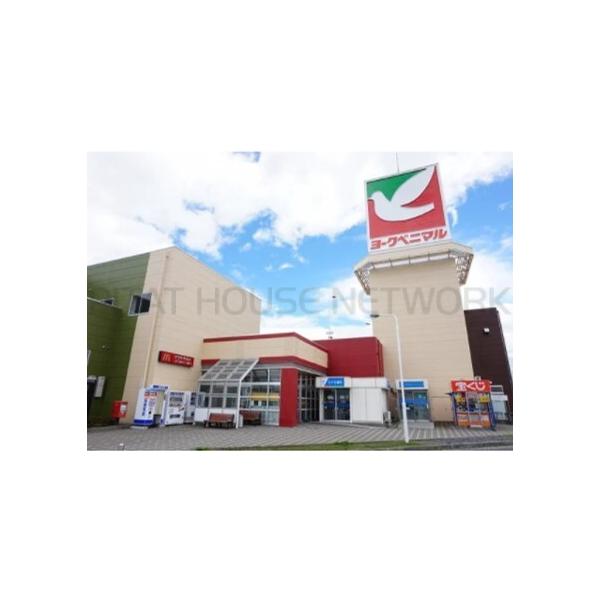 ヨークベニマル大和吉岡店:397m