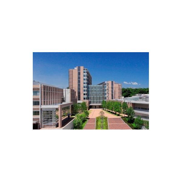 私立東北医科薬科大学:2100m