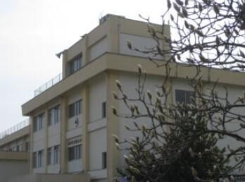 仙台市立桜丘小学校：545m