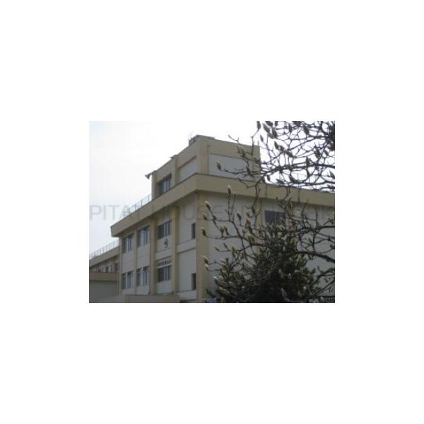 仙台市立桜丘小学校:318m