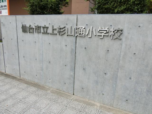 仙台市立上杉山通小学校：296m
