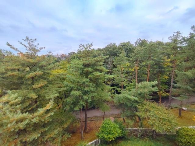 桜ケ丘7丁目辻本貸家（2F） 眺望