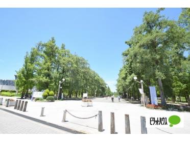 花博記念公園鶴見緑地：795m