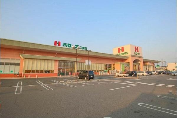 ハローズ江崎店：1291m