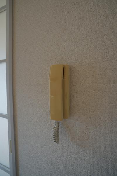 ラフィーネY セキュリティ