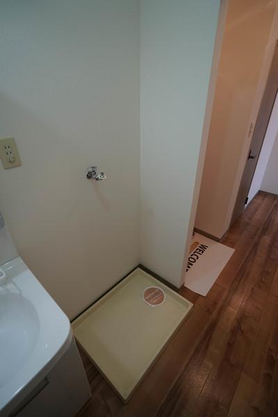 オルテンシア その他