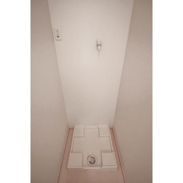 パフィオ 部屋画像