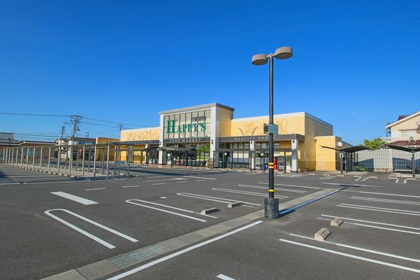 天満屋ハピーズ国府市場店：970m
