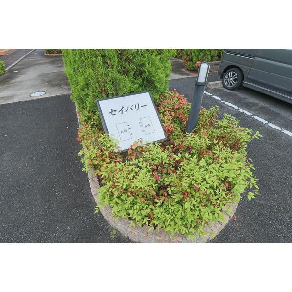 セイバリーA棟 共有部分