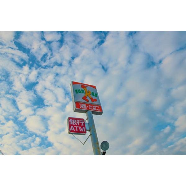 サンクス瀬戸万富店：228m