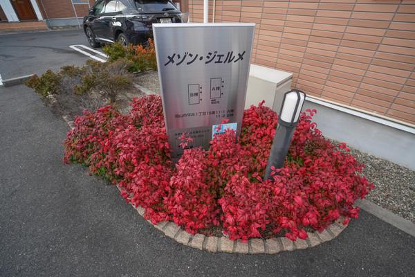 メゾン・ジェルメＢ その他