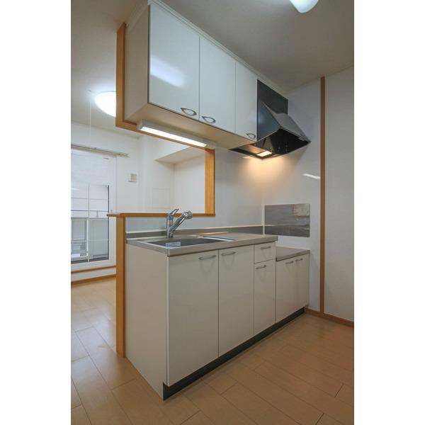 サンリット・レジデンス平井 A 部屋画像